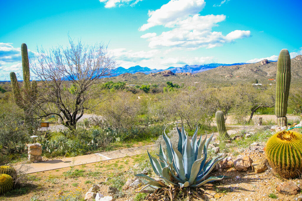 Tanque Verde Guest Ranch Tucson Zewnętrze zdjęcie